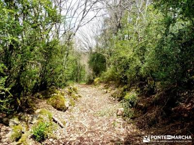 Montfalcó,Mont-rebei-Noguera Ribagorzana-Semana Santa; segobriga viriato embalses de madrid